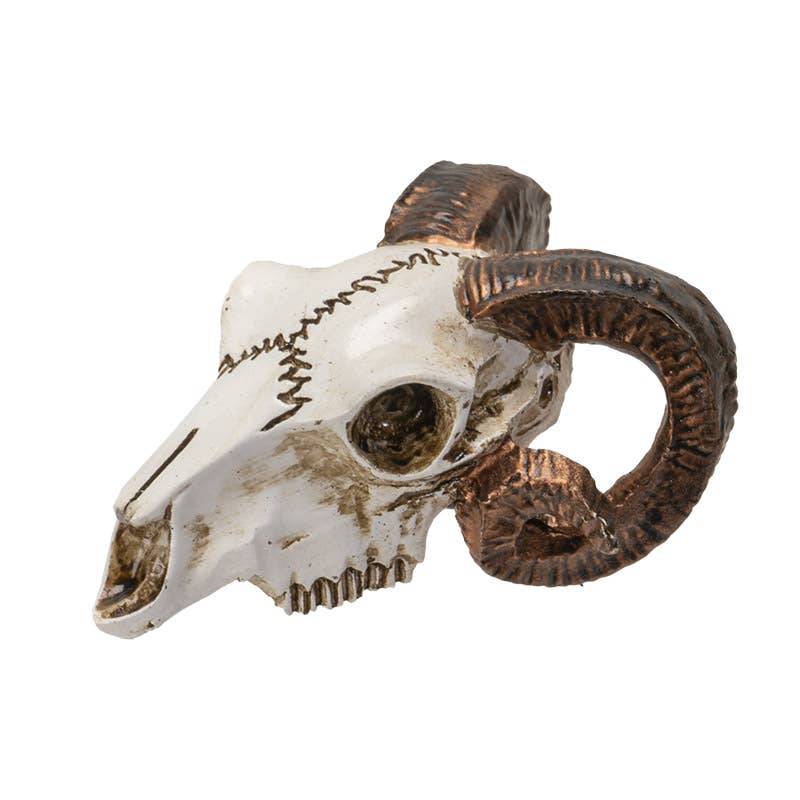 Ram Skull Mini